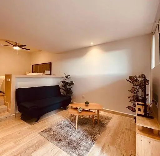 Gran Estudio A Unas Cuadras De La Playa