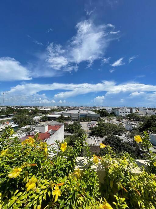 Gran Estudio A Unas Cuadras De La Playa Apartamento